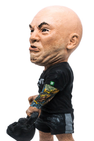 JOE ROGAN